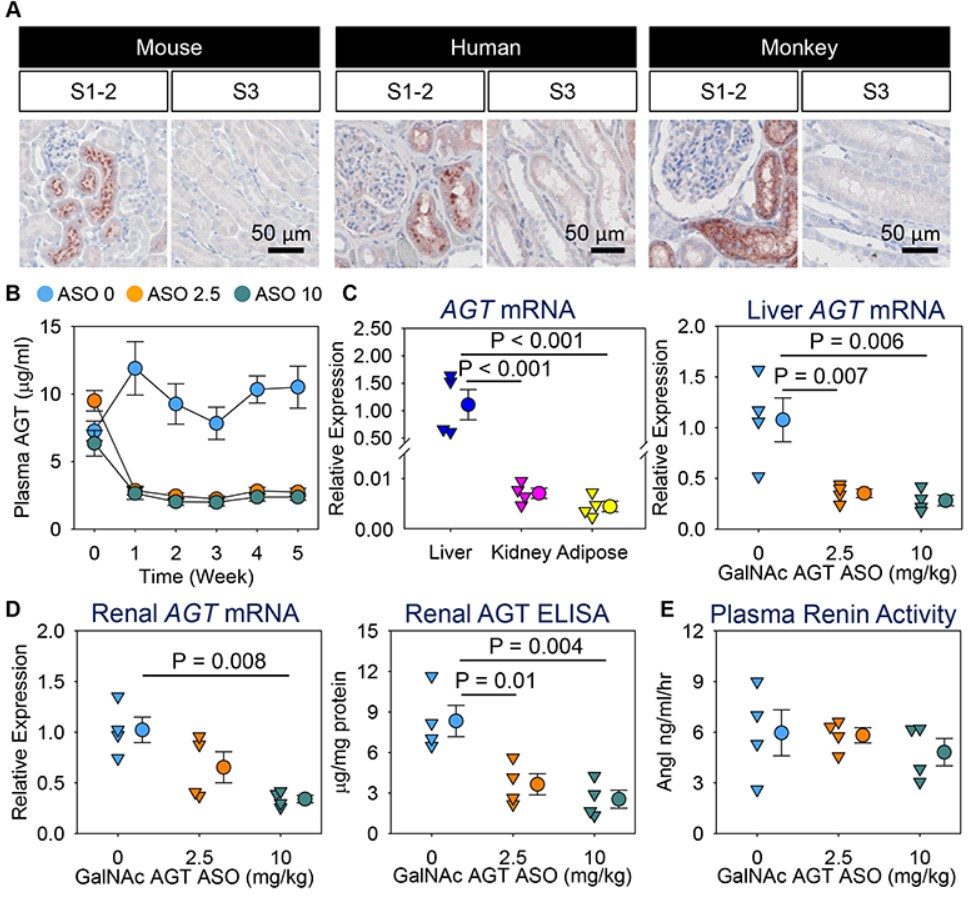 An external file that holds a picture, illustration, etc. Object name is 10223-2.png