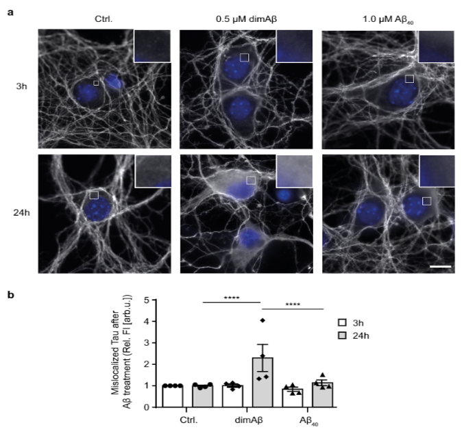 An external file that holds a picture, illustration, etc. Object name is ag3.png