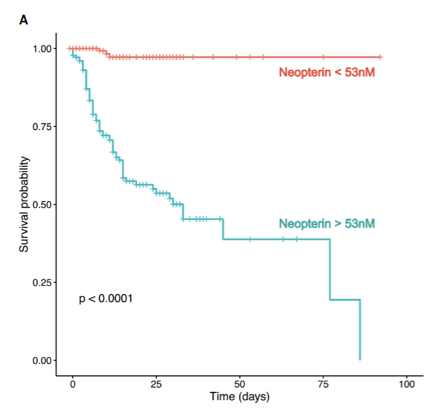 An external file that holds a picture, illustration, etc. Object name is neo1.png