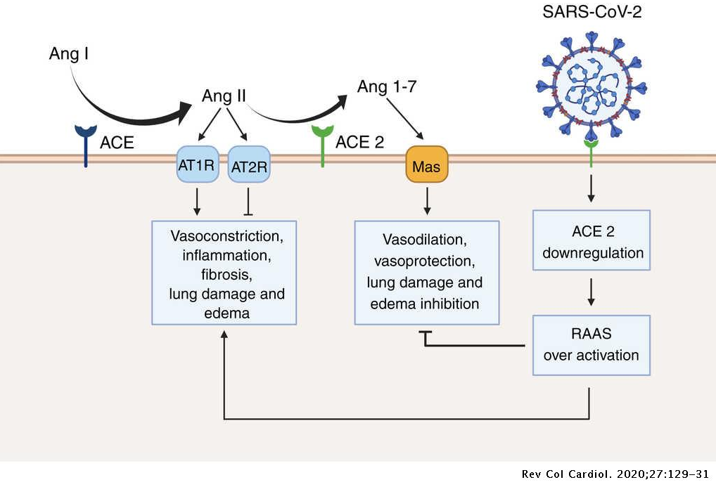 An external file that holds a picture, illustration, etc. Object name is 122020.png