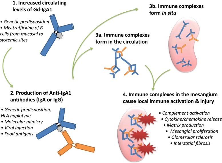 An external file that holds a picture, illustration, etc. Object name is CJN.07260713f1.jpg