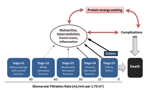 An external file that holds a picture, illustration, etc. Object name is pew1.png