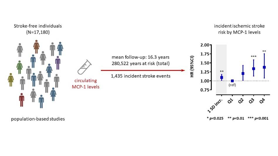 An external file that holds a picture, illustration, etc. Object name is strok1.png