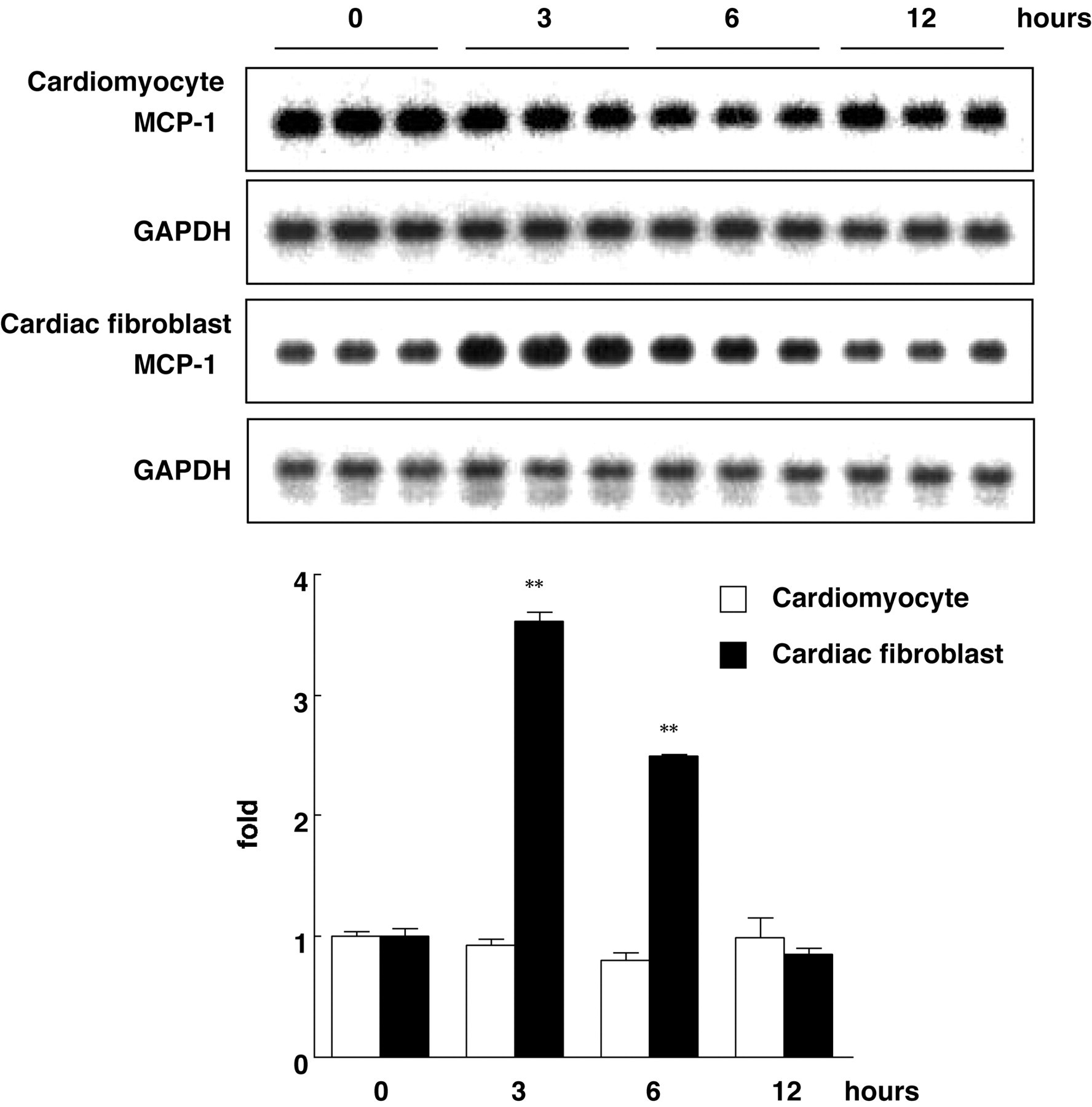 An external file that holds a picture, illustration, etc. Object name is strok2.jpg
